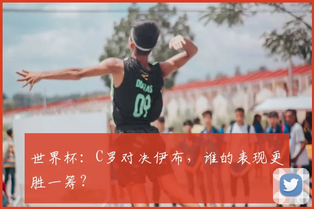 世界杯:C罗对决伊布,谁的表现更胜一筹?