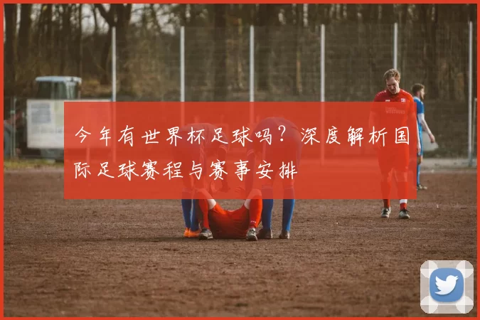 今年有世界杯足球吗?深度解析国际足球赛程与赛事安排