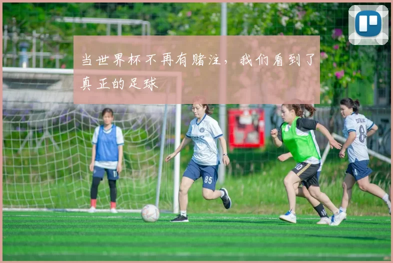 当世界杯不再有赌注,我们看到了真正的足球