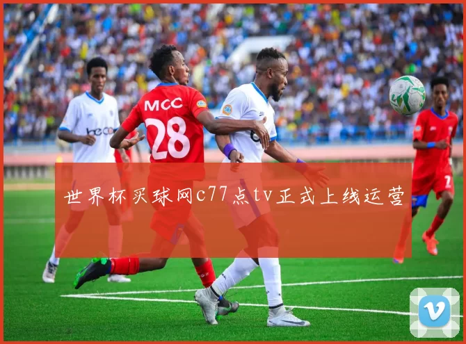 世界杯买球网c77点tv正式上线运营