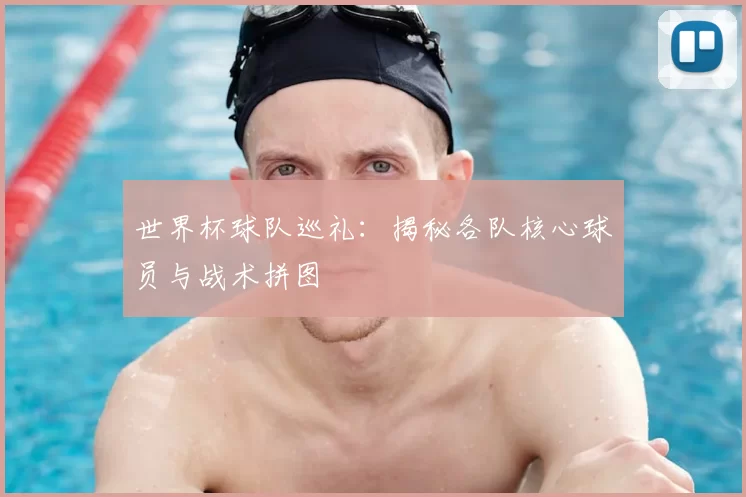 世界杯球队巡礼:揭秘各队核心球员与战术拼图