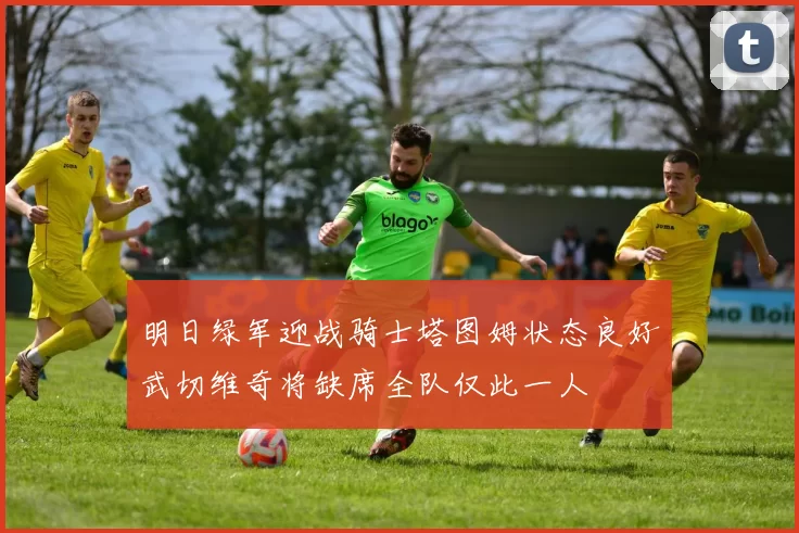 明日绿军迎战骑士塔图姆状态良好武切维奇将缺席全队仅此一人