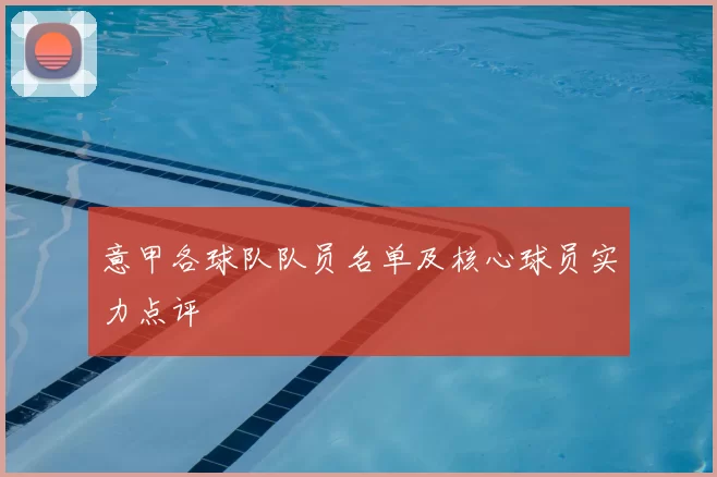 意甲各球队队员名单及核心球员实力点评
