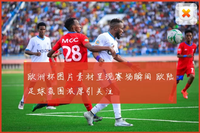 欧洲杯图片素材呈现赛场瞬间 欧陆足球氛围浓厚引关注