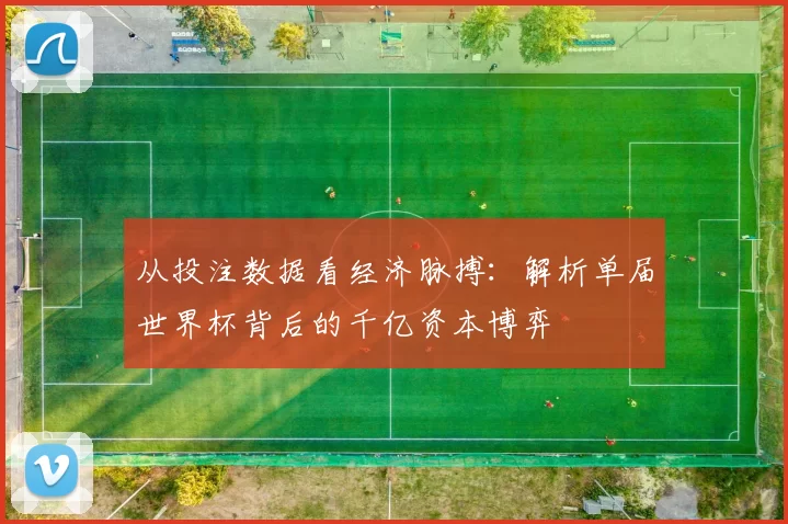 从投注数据看经济脉搏：解析单届世界杯背后的千亿资本博弈