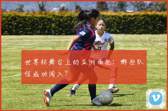 世界杯舞台上的亚洲面孔:哪些队伍成功闯入?