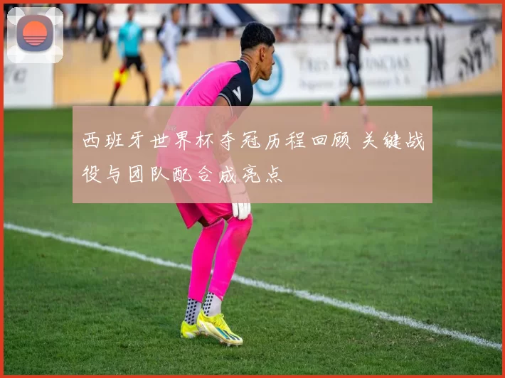 西班牙世界杯夺冠历程回顾 关键战役与团队配合成亮点