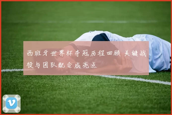 西班牙世界杯夺冠历程回顾 关键战役与团队配合成亮点