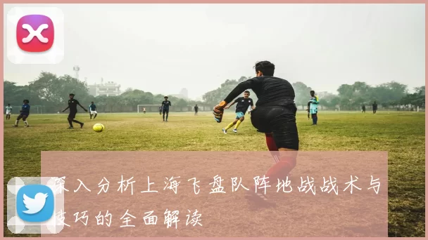 深入分析上海飞盘队阵地战战术与技巧的全面解读